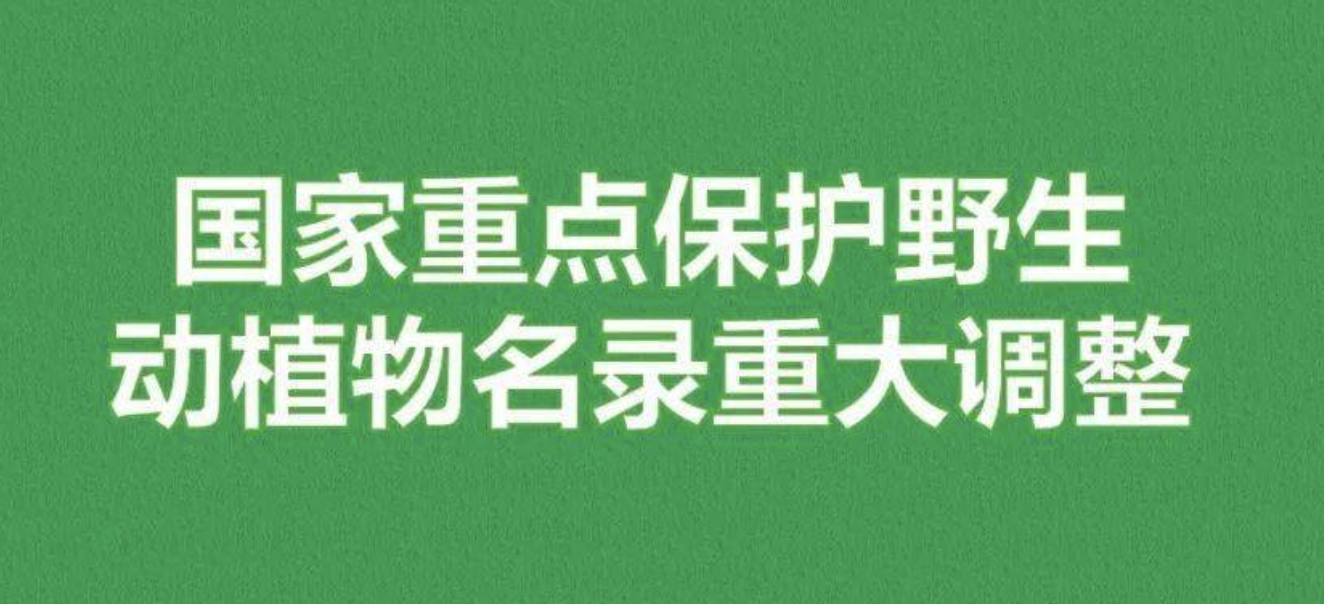 重磅！新版國(guó)家重點(diǎn)保護(hù)野生植物名錄公布，58種/屬列入一級(jí)保護(hù)，值得收藏